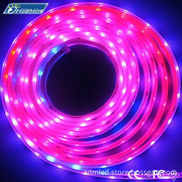 3528 waterproof led strip lights 100% guarantee ROHS CE FCC PSE